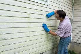 Best Siding Painting and Refinishing  in Flat Rock, NC